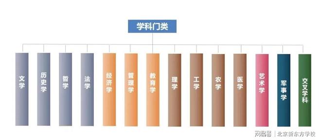 im体育大学有多少种专业？12张思维导图帮你理清