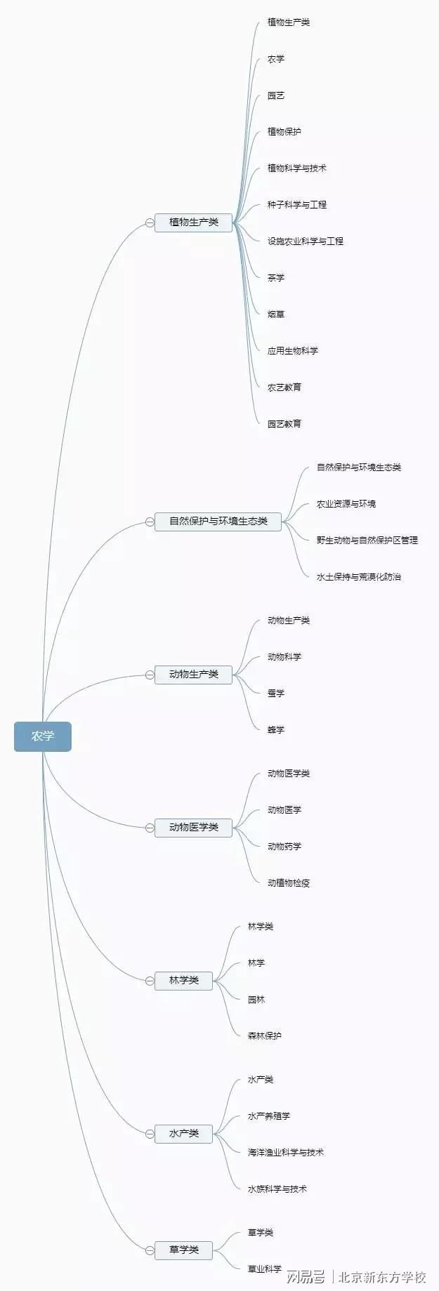 im体育大学有多少种专业？12张思维导图帮你理清(图12)