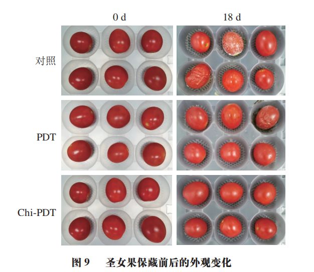 《食品科学》：暨南大学吴希阳教授等：壳聚糖-姜黄素光动力协同作用对圣bandao网站女果食源性致病菌的灭活效果(图7)